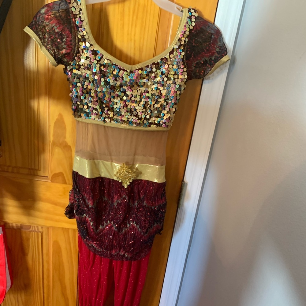 Adult Medium Bollywood style costume- Never worn